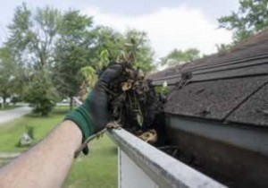 Gutter Cleaning