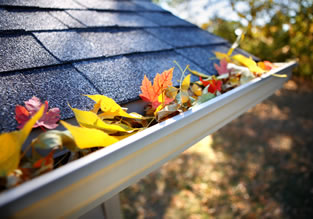 Gutter Cleaning