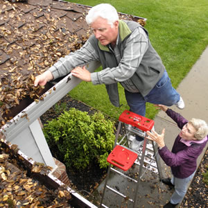 Don't break your neck getting up on a ladder to clean your own gutters.