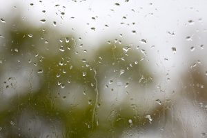 Rain on Window