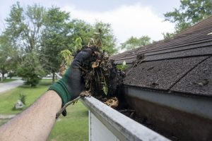 Cleaning Gutters