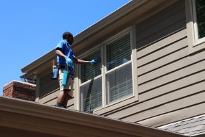 Cleaning 2nd Story Window