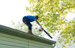 Gutter Cleaning